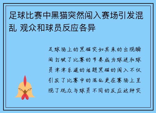足球比赛中黑猫突然闯入赛场引发混乱 观众和球员反应各异