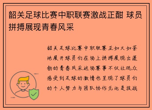 韶关足球比赛中职联赛激战正酣 球员拼搏展现青春风采