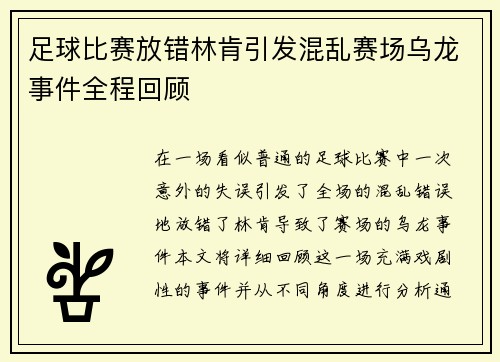 足球比赛放错林肯引发混乱赛场乌龙事件全程回顾
