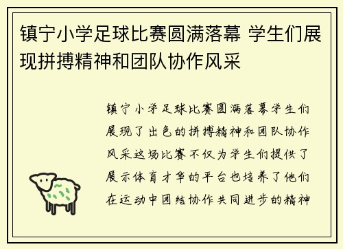 镇宁小学足球比赛圆满落幕 学生们展现拼搏精神和团队协作风采