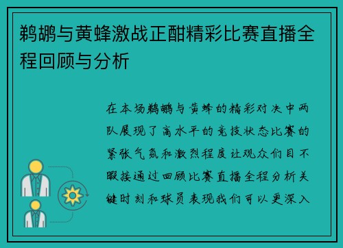 鹈鹕与黄蜂激战正酣精彩比赛直播全程回顾与分析